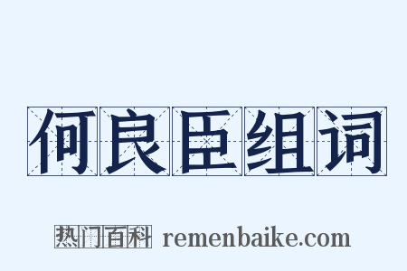 何良臣组词是什么意思的图片